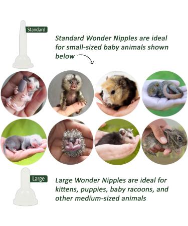 Exotic Nutrition Baby Squirrel Nursing Set - Milk Replacer & Feeding Syringes for International Shipping - Buy Online on GoSupps.com