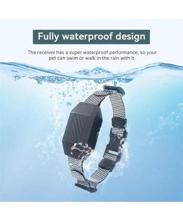 Classic Nylon Dog Collars - Breathable Waterproof & Easy to Handle for All Sizes - Buy Online on GoSupps.com