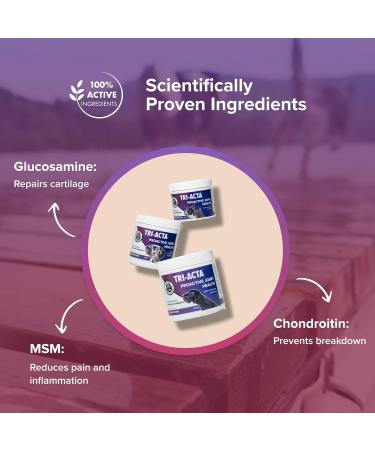 Integricare Muscle and Joint Supplement for Pets - Hip and Joint Supplement with Msm Powder Chondroitin - Glucosamine for Dogs and Cats for Ultimate Pet Nutrition - 60g 60 g - Buy Online on GoSupps.com