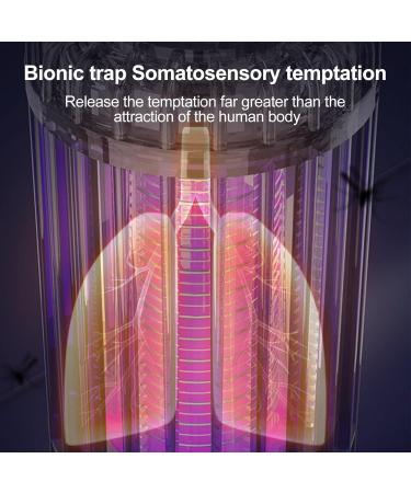 D/P Insect Trap - Insecticides with Easy Clean Brush | Insect Killers Outdoor Electric with Easy Clean Brush 3000V High Power UV Light Bugs Zapper for the Green - Buy Online on GoSupps.com