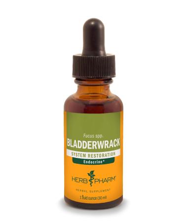 Herb Pharm Bladderwrack Liquid Extract - 1 Ounce (DBLADD01)