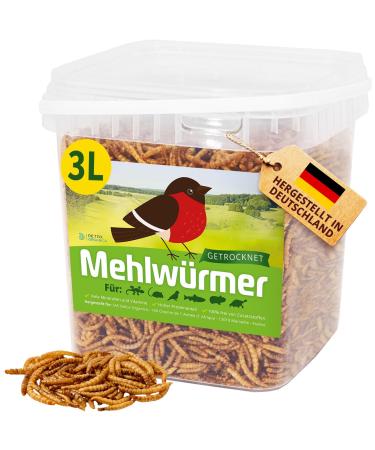Flourworms dried 3l dried mealworms with very high protein content worms for reptiles birds wild birds hedgehogs fish turtles & rodent 460g - premium quality 460 g (1 Pack) - Buy Online on GoSupps.com