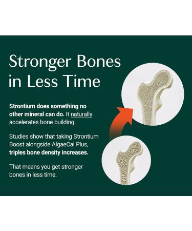 AlgaeCal Strontium Boost: Natural Trace Mineral Supplement for Bone Density - 680mg - Easy to Swallow - Dairy & Gluten-Free - NonGMO - 3 Pack - Buy Online on GoSupps.com