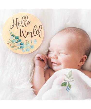 Baby Monthly Milestone Cards - Reversible Wooden Discs for Newborn Photography - Includes Announcement & Hello World Sign - Buy Online on GoSupps.com