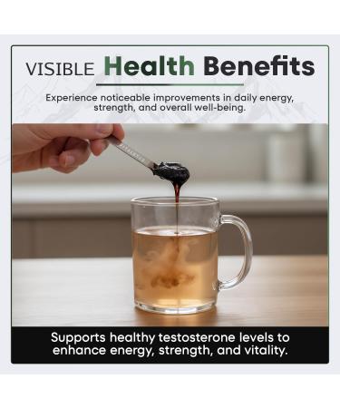 VITALRYZE Himalayan Shilajit Resin 50 Grams High Potency for Men & Women Natural Energy Support - 50g - Buy Online on GoSupps.com