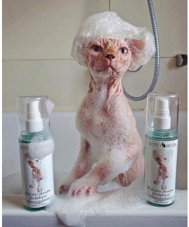 Kotomoda Probiotic Shampoo for Sphynx Cats - 8.45 oz | Best International Shipping - Buy Online on GoSupps.com