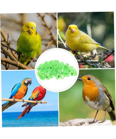 Beavorty 200 pcs Racing Digital Indoor Bands Identification Clip- Plastic Band Chick Pigeon Bird Leg 1X1X0.8CMx2pcs Greenx2pcs - Buy Online on GoSupps.com