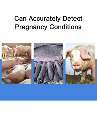 Vanenferse Veterinary & Ultrasound Scanner - B Ultrasound Device with Convex 3.5 MHz Probe for Pig Pregnancy Detection | International Shipping - Buy Online on GoSupps.com