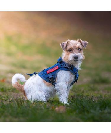 Oneigris Tactical Dog Harness - Fire Watcher Safety Vest with No-Pull D-Rings & 1 Handle for Service Dogs - XS Gray 1000D Nylon - Buy Online on GoSupps.com