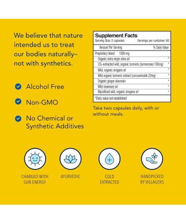 NORTH AMERICAN HERB & SPICE Turmeric Power-Plus - 120 Count - Curcumin & Turmerones Whole Food Extract - Joint Heart & Digestive Health Support - Antioxidant - Non-GMO - 60 Servings 120 Count (Pack of 1) - Buy Online on GoSupps.com