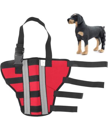 Dog Hind Leg Brace Dog Supplies Dog Health and Supplies Comfort Dog Knee Pads Brace to Heal Pain Caused by Surgery with Reflective Strip Dog Health and (M) - Buy Online on GoSupps.com