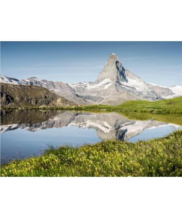  Ricola Ricola - 20 Boxes of 50 g - Sweets with Swiss Plants - Raspberry Lemon Balm Fragrance - Refreshing - No Sugars - - Buy Online on GoSupps.com