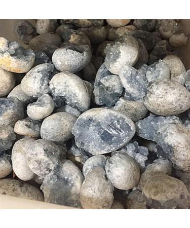 1PC Random Natural Raw Blue Celestite Quartz Crystal Cluster Stones Specimen Home Decoration Crafts Ornament Druzy Geode FZUGEDRLI (Size : 1pc Random 20 50g) - Buy Online on GoSupps.com