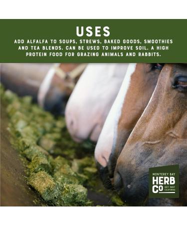 Alfalfa Leaf Cut & Sifted, by Herb Co, Kosher, Non-Irradiated, Non-GMO, for Herbal Oils, Used in Soups, Stews, Tea Blends, Earthly Flavor, 1/4 lb - Buy Online on GoSupps.com