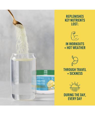 Organika Electrolytes Powder- Classic Lemonade- Sugar-Free Hydration and Electrolyte Replenishment & Electrolyte Drink Mix - Raspberry flavour- Zero Sugar Hydration- 350 gram - 100 Servings - Buy Online on GoSupps.com