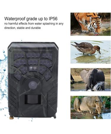 PR300C Wildlife Camera - 5MP 720P Infrared Hunting Camera | IP56 Waterproof | High Definition Wildlife Monitoring - Buy Online on GoSupps.com