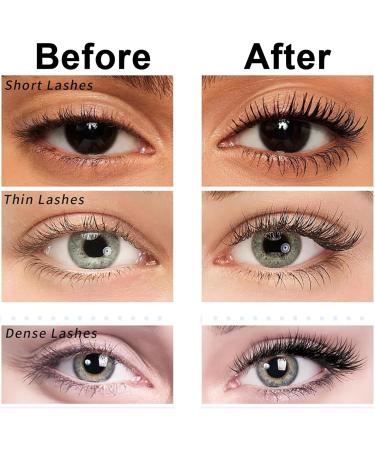 Magnetic Eyelashes with Applicator Reusable Magnetic Eyelashes Natural Look 2 Pairs of Magnetic Lashes Natural Magnetic Eyelashes without Eyeliner 5 Magnets False Eyelashes Magnetic Fox Fairy - Buy Online on GoSupps.com