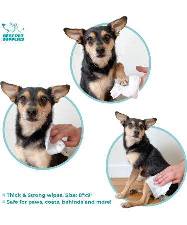 Coconut-Scented Moisturizing Pet Wipes for Dogs & Cats | Gentle Plant-Derived Formula | Extra Soft & Strong | 100 Count - Buy Online on GoSupps.com