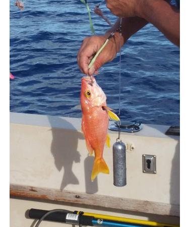 Deep Drop Fishing Rig with 5 Demon Circle 6/0 Hooks and Glow Sleeve - Snapper Rig - Buy Online on GoSupps.com