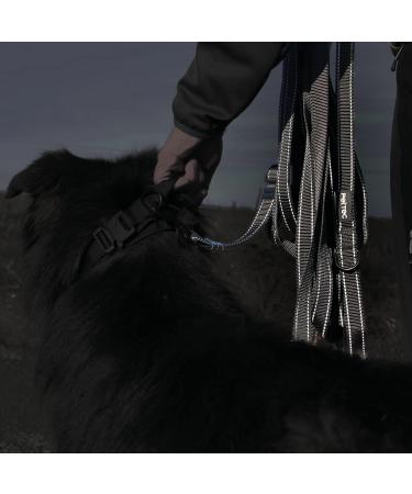 Buy Pettec Drag Line 10m/15m/20m - Durable Nylon Dog Training Leash Water-Repellent Adjustable Towing Line for Puppies & Dogs - Shop Now! - Buy Online on GoSupps.com