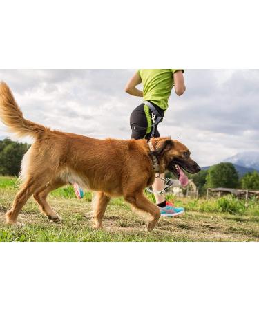 Pecco Hand Free Dog Lead Dog Walking Belt Ajustable Dog Leash Waist Belt Pet Dog Leash Coupler Running and Jogging Lead Belt with Retractable Bungee - Buy Online on GoSupps.com