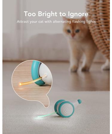 Petlibro Interactive Cat Toys - LED Lights, Electric Mice, USB Rechargeable - Buy Online on GoSupps.com