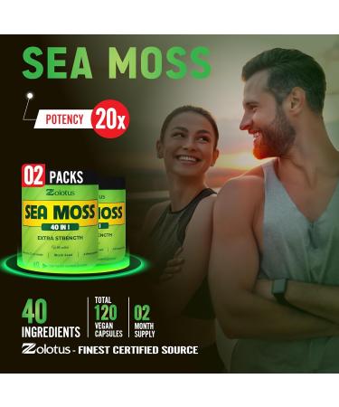Zolotus (2 Packs 60 Capsules Sea Moss Supplement 40 in 1 with Turmeric Curcumin Ashwagandha Root Bladderwrack for Immune System Body Balance & Heart Health - Buy Online on GoSupps.com