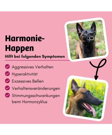 BugBell 7 kg Grain-Free Dry Food for Hormonal Balance Against Aggression in Dogs with Beetroot Cheese Monk's Pepper Valerian and L-Tryptophan - Buy Online on GoSupps.com