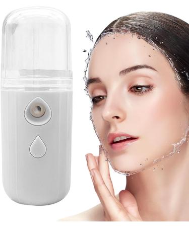 Mister Face Moisturizer - Mister Face Moisturizer Nano Mist Sprayer | Nano Atomization with 30ml Visual Water Reservoir Refillable Cool Face Spray Suitable for Skin Care - Buy Online on GoSupps.com