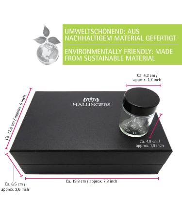 Hallingers Merry Christmas Green Tea Gift Set - 5 Vegan Varieties in Box | Perfect for Christmas Mother's Day Father's Day & General Gifts - Buy Online on GoSupps.com