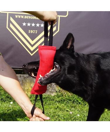 Dingo Gear Cotton Nylon Bite Sausage for Dog Training | IGP IPO Obedience & Protection Sport | 28x7 cm Red with 2 Handles - Buy Online on GoSupps.com