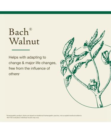 Bach Original Flower Remedies Walnut - Adapt to Change - Natural Homeopathic Flower Essence for Emotional Balance - Vegan Gluten Free Sugar Free - 20mL Dropper - Buy Online on GoSupps.com