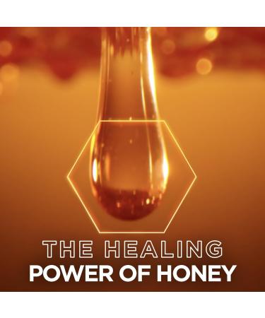 Garnier Whole Blends Hair Honey Repairing Serum for Dry Damaged Hair Non-sticky & non-greasy Smoother hair & split ends reduction 150ml - Buy Online on GoSupps.com