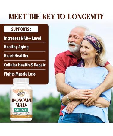 Liposomal NAD+ 500 MG Supplement True NAD Plus Supplement Superior Absorption Boost NAD+ More Efficient Than Nicotinamide Riboside for Cellular Energy Healthy Aging 120 Serving 60 Count (Pack of 2) - Buy Online on GoSupps.com