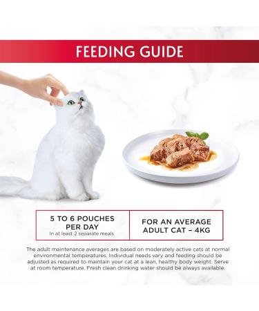 Gourmet Mon Petit Intense Duck Chicken and Turkey Adult Wet Cat Food 6x50g Pack of 8 - Buy Online on GoSupps.com