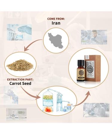 Premium Akarz Carrot Seed Oil - Therapeutic Essential Oil for Skin Hair and DIY Projects (10 ml) - Buy Online on GoSupps.com