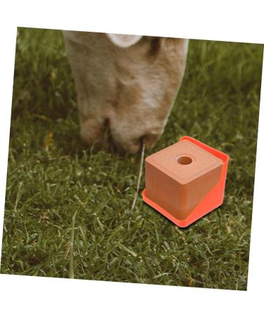 Happyyami 3pcs Lick Brick Box Feed Salt Block Tray Convenient Salt Blocks Rack Licking Bricks Supplies - Buy Online on GoSupps.com