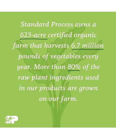 Standard Process USF Ointment - Whole Food Moisturizer for Dry Hands & Skin - 1.75 oz - Buy Online on GoSupps.com