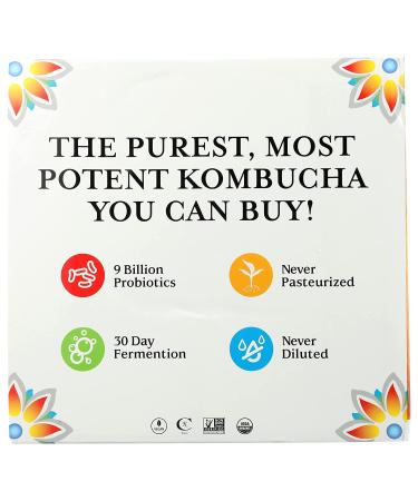 GTs Living Foods Organic Synergy Kombucha Variety 6 Pack - 16 FZ | Buy Online - Buy Online on GoSupps.com