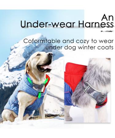 Thinkpet No-Pull Dog Harness Leash Set - Breathable & Adjustable for Small Medium Large Dogs | Safe & Reflective Gray Harness (1 Pack) - Buy Online on GoSupps.com