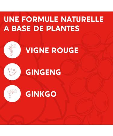 FORMULA CIRCULATION Blood venous | Heavy legs Water retention | Red Vine (highly dose) Blackcurrant Gingko Biloba | 60 capsules | Dietary supplement - Buy Online on GoSupps.com