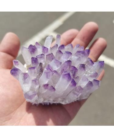 Natural Crystal Rough for Natural Purple Ghost Phantom Quartz Crystal Cluster Rock Stones and Crystals Home Deco (Size : 150-200g) - Buy Online on GoSupps.com