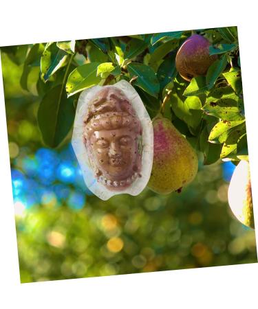 SUPVOX Clear Supply Shaped Transparent Tool Small for Growth Ginseng Melon Forming Fruits - Buy Online on GoSupps.com