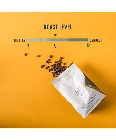Verve Coffee Roasters 1950 Blend Whole Bean Coffee | Medium Roast Ethiopian Blend | Direct Trade | 12oz Resealable Bag - Buy Online on GoSupps.com