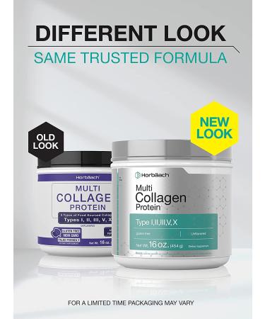 Horbaach Multi Collagen Protein Powder 16 oz | Type I, II, III, V, X | Hydrolyzed Peptides | Keto & Paleo | Unflavored & Gluten Free - Buy Online on GoSupps.com