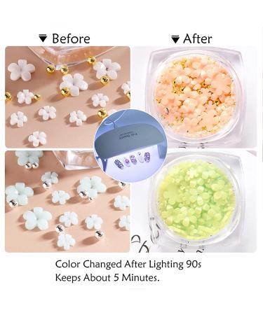 6 Boxes 3D Flower Nail Art Charms with Light Change Decals - Acrylic Nail Accessories with Pearl Golden Caviar Beads Glitter Stud Design - DIY Decoration Tips for Women - Buy Online on GoSupps.com