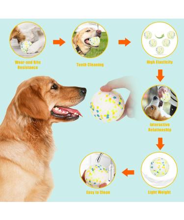 Indestructible Rubber Dog Ball Toys - Durable Interactive Training Balls for Small Medium & Large Dogs (2 Pieces) - Buy Online on GoSupps.com