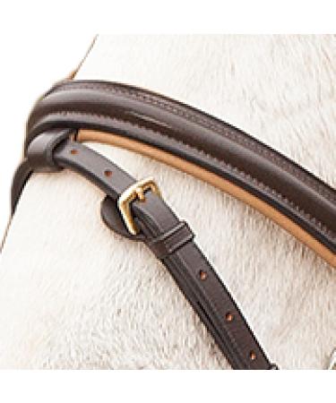 Buy Star WALDHAUSEN Bridle Diamond Brown for Warmbloods | Premium Quality Equestrian Gear Worldwide Shipping - Buy Online on GoSupps.com