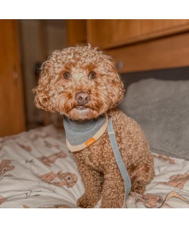 MUDLESS Dog Bandana Pet Scarf - Medium AquaBlaze Neckerchief for Comfort and Breathability - Buy Online on GoSupps.com