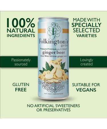 Folkington's Ginger Beer 12 x 250ml Cans - Premium Sparkling Soft Drink and Perfect Gin Mixer - Buy Online on GoSupps.com